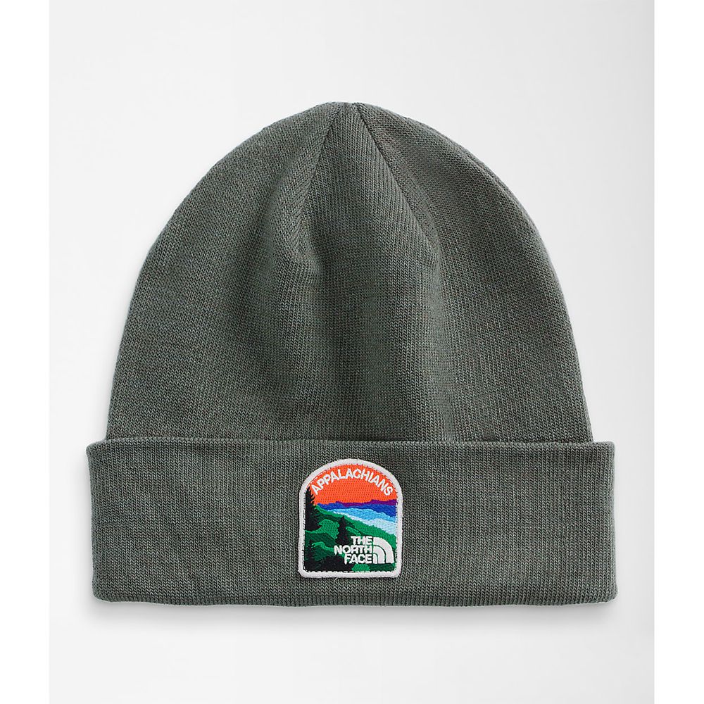 The North Face Caps Mens Australia - The North Face Embroidered Earthscape Dark Green (OVZ-901748)